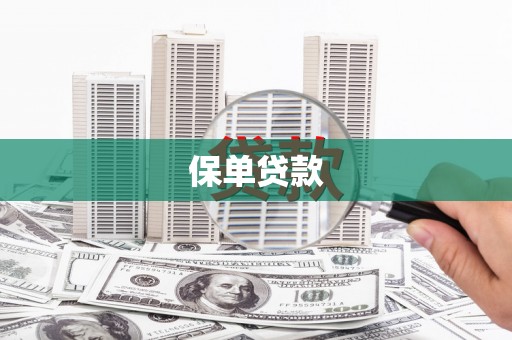 郴州保单贷款