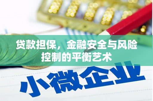 郴州贷款担保，金融安全与风险控制的平衡艺术