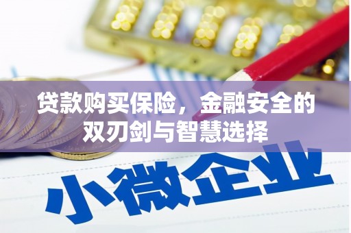 郴州贷款购买保险，金融安全的双刃剑与智慧选择