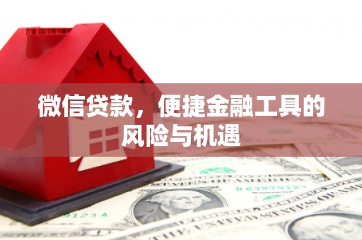 郴州微信贷款，便捷金融工具的风险与机遇