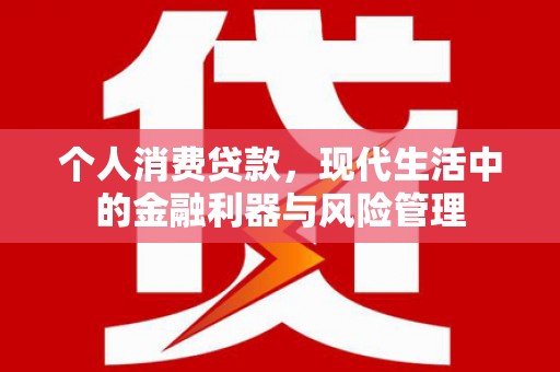 郴州个人消费贷款，现代生活中的金融利器与风险管理