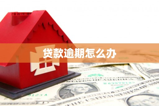 郴州贷款逾期怎么办