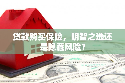 郴州贷款购买保险，明智之选还是隐藏风险？