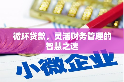 郴州循环贷款，灵活财务管理的智慧之选