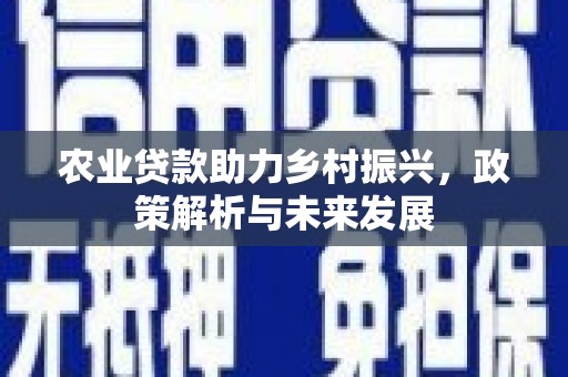 郴州农业贷款助力乡村振兴，政策解析与未来发展