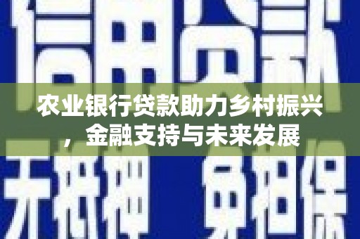 郴州农业银行贷款助力乡村振兴，金融支持与未来发展