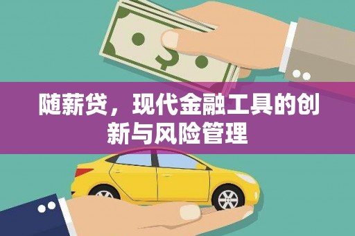 郴州随薪贷，现代金融工具的创新与风险管理