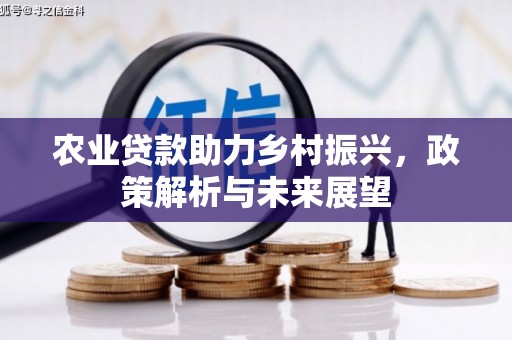 郴州农业贷款助力乡村振兴，政策解析与未来展望