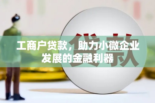 郴州工商户贷款，助力小微企业发展的金融利器