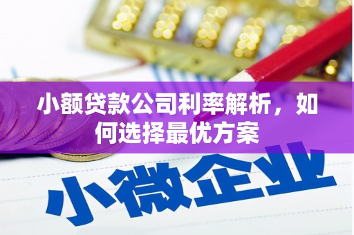 郴州小额贷款公司利率解析，如何选择最优方案