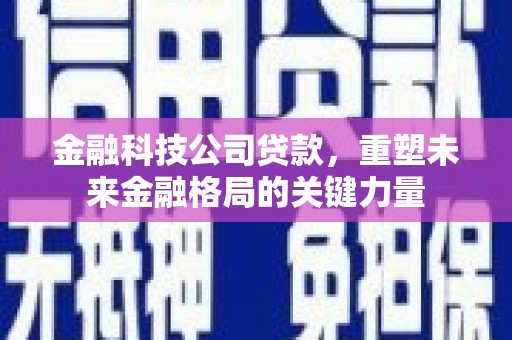 郴州金融科技公司贷款，重塑未来金融格局的关键力量