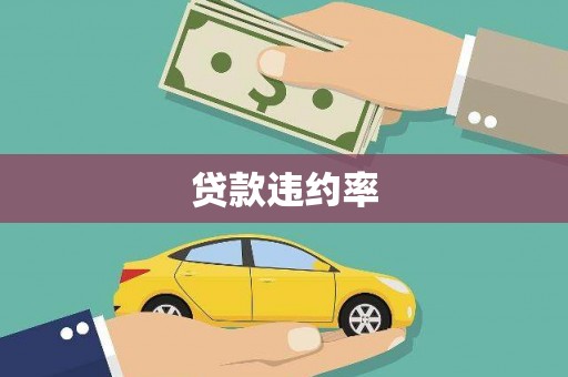 郴州贷款违约率