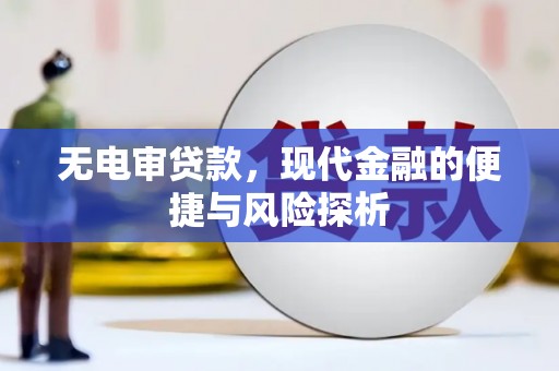 郴州无电审贷款，现代金融的便捷与风险探析