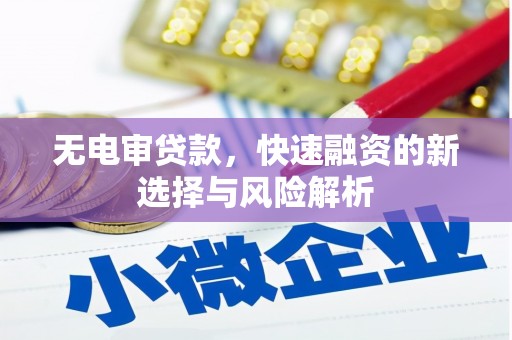 郴州无电审贷款，快速融资的新选择与风险解析