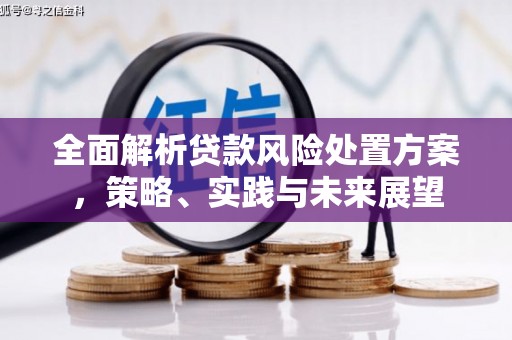 郴州全面解析贷款风险处置方案，策略、实践与未来展望