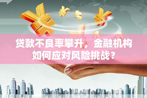 郴州贷款不良率攀升，金融机构如何应对风险挑战？