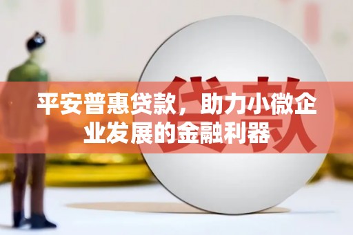 郴州平安普惠贷款，助力小微企业发展的金融利器
