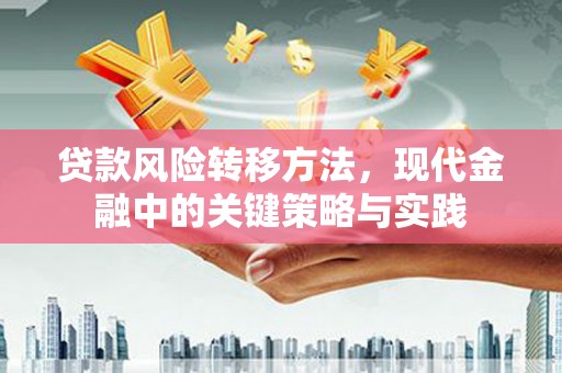 郴州贷款风险转移方法，现代金融中的关键策略与实践