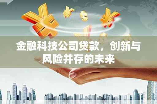 郴州金融科技公司贷款，创新与风险并存的未来
