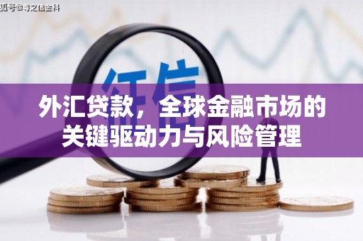 郴州外汇贷款，全球金融市场的关键驱动力与风险管理