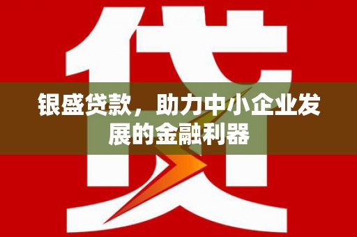 郴州银盛贷款，助力中小企业发展的金融利器