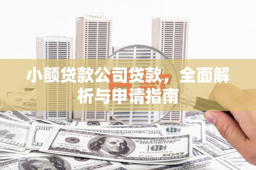 郴州小额贷款公司贷款，全面解析与申请指南