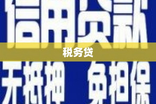 郴州税务贷