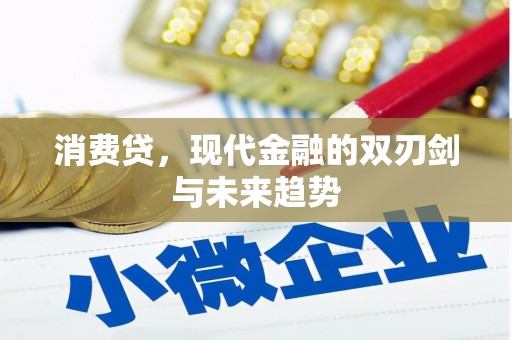 郴州消费贷，现代金融的双刃剑与未来趋势