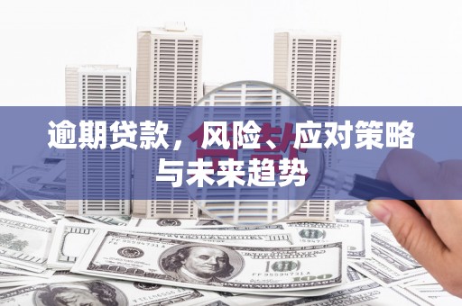 郴州逾期贷款，风险、应对策略与未来趋势