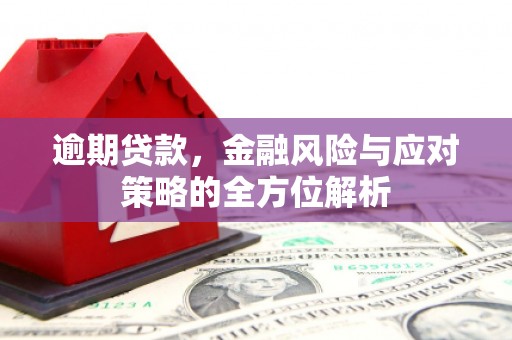 郴州逾期贷款，金融风险与应对策略的全方位解析