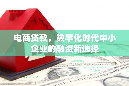 郴州电商贷款，数字化时代中小企业的融资新选择