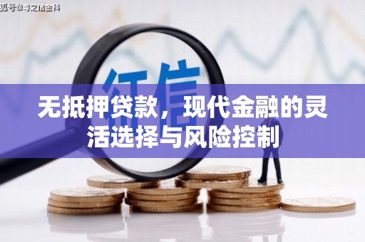 郴州无抵押贷款，现代金融的灵活选择与风险控制