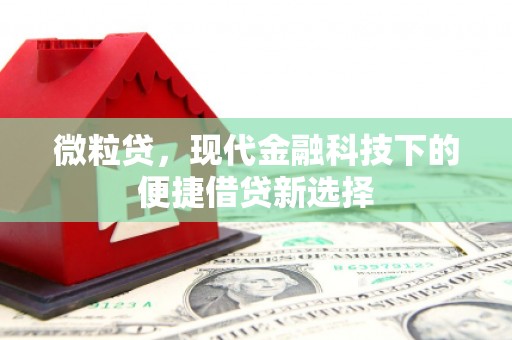 郴州微粒贷，现代金融科技下的便捷借贷新选择