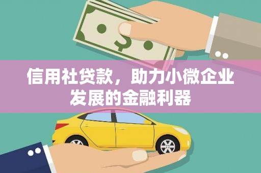 郴州信用社贷款，助力小微企业发展的金融利器