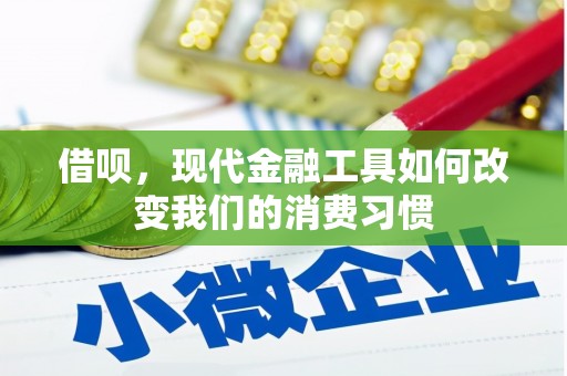 郴州借呗，现代金融工具如何改变我们的消费习惯