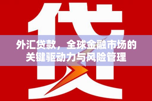 郴州外汇贷款，全球金融市场的关键驱动力与风险管理