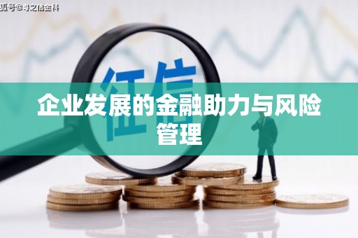 郴州企业发展的金融助力与风险管理