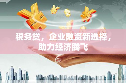 郴州税务贷，企业融资新选择，助力经济腾飞