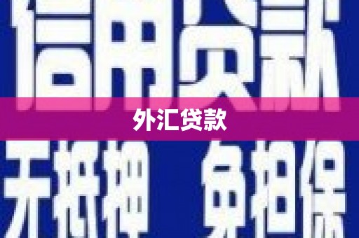 郴州外汇贷款