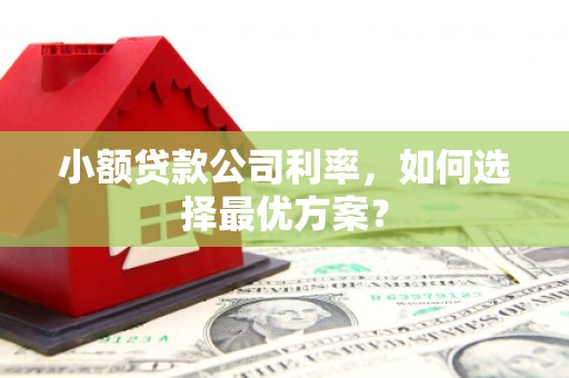 郴州小额贷款公司利率，如何选择最优方案？