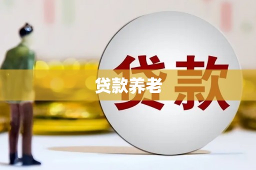 郴州贷款养老