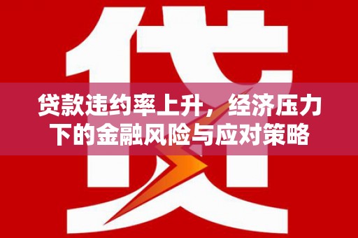 郴州贷款违约率上升，经济压力下的金融风险与应对策略