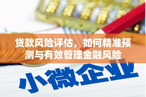 郴州贷款风险评估，如何精准预测与有效管理金融风险