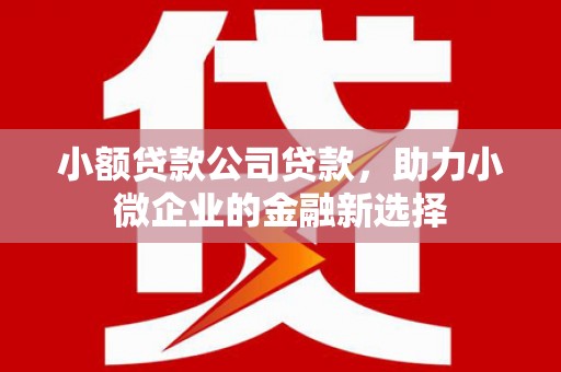 郴州小额贷款公司贷款，助力小微企业的金融新选择