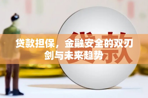 郴州贷款担保，金融安全的双刃剑与未来趋势