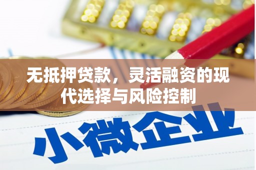 郴州无抵押贷款，灵活融资的现代选择与风险控制