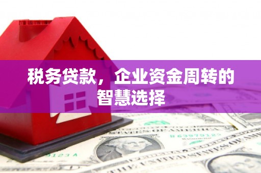 郴州税务贷款，企业资金周转的智慧选择