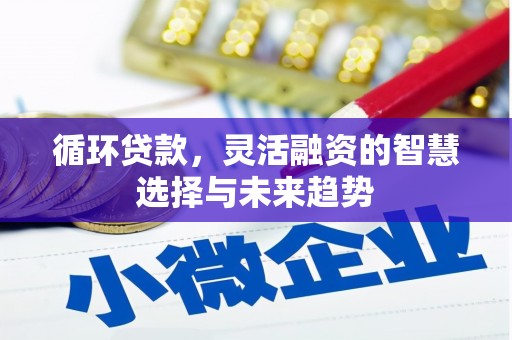 郴州循环贷款，灵活融资的智慧选择与未来趋势