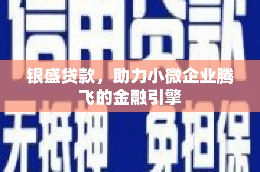 郴州银盛贷款，助力小微企业腾飞的金融引擎