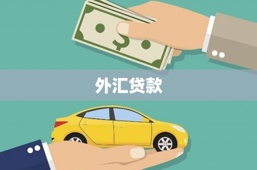 郴州外汇贷款